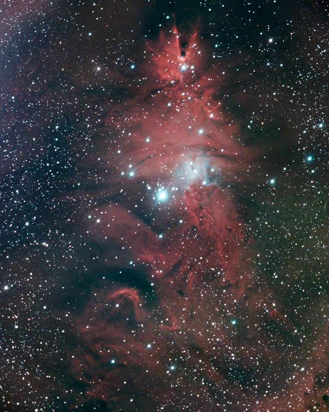 Christmas Tree Nebula